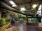 SF Zoo So. American Tropical Rainforest & Avairy